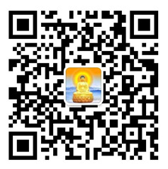 茄子视频懂你更多