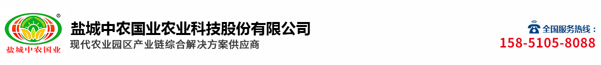 茄子视频懂你更多